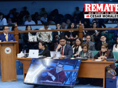 Madriaga, Lachica at Nolasco inalis ng prosekusyon bilang witness sa impeachment trial