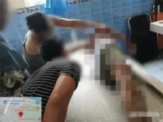Magsasaka utas sa sunggab ng alagang kalabaw