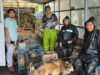 11 alagang hayop nailigtas sa landslide area sa Baguio