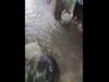 Baha, landslide tumama sa Pangasinan, Aurora bago humina si Luis