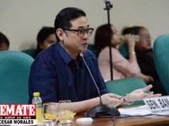 Suporta sa maliliit na negosyo, tinalakay sa Senado