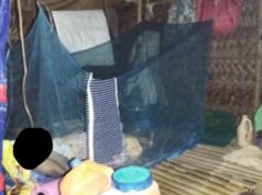 Mag-asawa, 4-anyos na apo pinaulanan ng bala sa Cavite; 2 arestado
