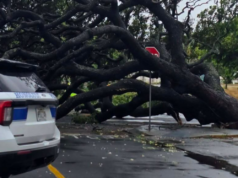 Higit 200K tirahan nawalan ng kuryente sa Hurricane Lala sa Hawaii