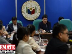 System loss act, mga reporma sa enerhiya, tinalakay sa Senado