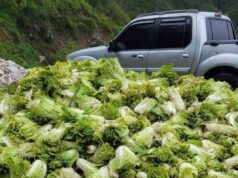 DA, kinalampag ni Lapid sa ‘Rescue Buy Scheme’ sa gulay ng Benguet