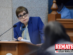 Disbursing officer ni VP Sara inihalintulad ni Kapunan kay Superman