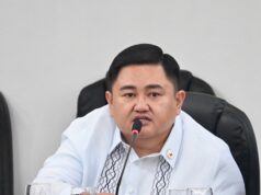 Mas matibay na alyansa sa rehiyon para sugpuin smuggling sinuportahan ng solon