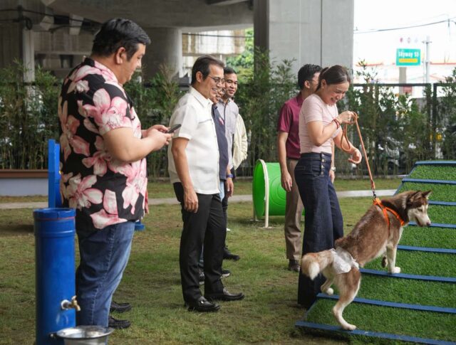 viber_image_2026-08-12_10-30-57-160