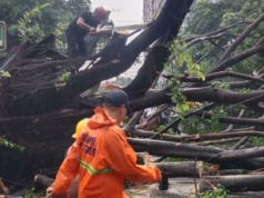 Bebot pisak sa bumagsak na Balete sa QC, 2 sugatan