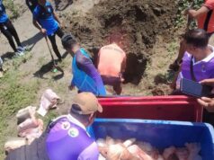 100 kilong karne ng pating, narekober sa Cagayan