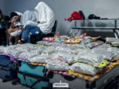 3 Pinoy mula Bangkok timbog sa P18.7-M ‘kush’ sa NAIA-3