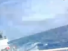 Barko ng BFAR binangga ng China coast guard sa Palawan – PCG