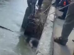 Bangkay ng lalaki lumutang sa tulay sa Isabela