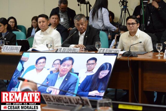Senate hearing Ombudsman (6)
