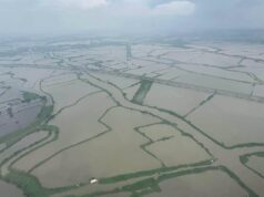 Winasak ng habagat, bagyo sa agrikultura, imprastraktura sa C. Luzon, lumobo sa higit P3-B