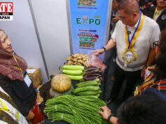 Suplay ng pagkain sa bansa, sapat sa kabila ng banta ng El Niño — DA
