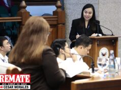 BIR itinangging isiwalat, status of tax investigation