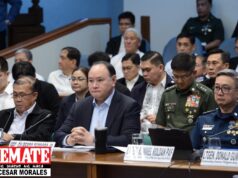 Panukalang P324.63B budget ng DND, sinuri sa Senado