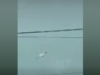 Pagkasawi ng 4 PAF pilots sa banggaan ng 2 training aircraft sa Batangas, kinumpirma ng PAF