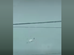 Pagkasawi ng 4 PAF pilots sa banggaan ng 2 training aircraft sa Batangas, kinumpirma ng PAF