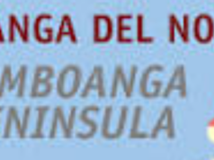 Ilegal na mineral ore, nasabat sa Zamboanga del Norte