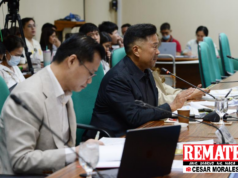Gatchalian sa PNOC: Lumikha ng strategic petroleum reserves vs kakulangan ng suplay