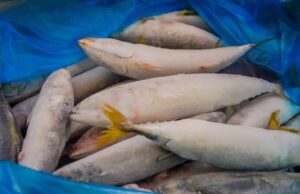 Cold storage, ni-raid; Chinese national, 4 pa arestado sa puslit na frozen mackerel