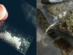 P5.4M tobtas, marijuana nasabat sa CALABARZON