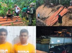 P810K ilegal na troso, nasamsam sa Surigao del Sur; 2 arestado